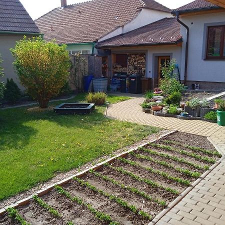 Apartment Anna Sakvice Экстерьер фото